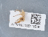  ( - NHMUK015111566)  @11 [ ] Unspecified (default): All Rights Reserved  Unspecified Unspecified