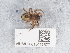  ( - NHMUK015111577)  @11 [ ] Unspecified (default): All Rights Reserved  Unspecified Unspecified