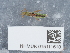  ( - NHMUK015111610)  @11 [ ] Unspecified (default): All Rights Reserved  Unspecified Unspecified
