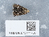  ( - NHMUK015111720)  @11 [ ] Unspecified (default): All Rights Reserved  Unspecified Unspecified