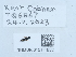  ( - NHMUK015111822)  @11 [ ] Unspecified (default): All Rights Reserved  Unspecified Unspecified