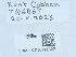  ( - NHMUK015111822)  @11 [ ] Unspecified (default): All Rights Reserved  Unspecified Unspecified