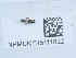  ( - NHMUK015111822)  @11 [ ] Unspecified (default): All Rights Reserved  Unspecified Unspecified
