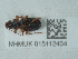  ( - NHMUK015112404)  @11 [ ] Unspecified (default): All Rights Reserved  Unspecified Unspecified