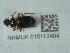  ( - NHMUK015112404)  @11 [ ] Unspecified (default): All Rights Reserved  Unspecified Unspecified