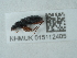  ( - NHMUK015112405)  @11 [ ] Unspecified (default): All Rights Reserved  Unspecified Unspecified