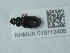  ( - NHMUK015112405)  @11 [ ] Unspecified (default): All Rights Reserved  Unspecified Unspecified