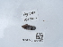  ( - NHMUK015209900)  @11 [ ] Unspecified (default): All Rights Reserved  Unspecified Unspecified