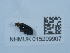  ( - NHMUK015209907)  @11 [ ] Unspecified (default): All Rights Reserved  Unspecified Unspecified