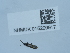  ( - NHMUK015209917)  @11 [ ] Unspecified (default): All Rights Reserved  Unspecified Unspecified