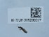  ( - NHMUK015209917)  @11 [ ] Unspecified (default): All Rights Reserved  Unspecified Unspecified