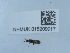  ( - NHMUK015209917)  @11 [ ] Unspecified (default): All Rights Reserved  Unspecified Unspecified