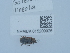  ( - NHMUK015209925)  @11 [ ] Unspecified (default): All Rights Reserved  Unspecified Unspecified