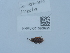  ( - NHMUK015209925)  @11 [ ] Unspecified (default): All Rights Reserved  Unspecified Unspecified