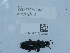  ( - NHMUK015209926)  @11 [ ] Unspecified (default): All Rights Reserved  Unspecified Unspecified