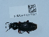  ( - NHMUK015209926)  @11 [ ] Unspecified (default): All Rights Reserved  Unspecified Unspecified