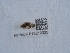  ( - NHMUK015212325)  @11 [ ] Unspecified (default): All Rights Reserved  Unspecified Unspecified