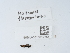 ( - NHMUK015212751)  @11 [ ] Unspecified (default): All Rights Reserved  Unspecified Unspecified