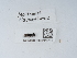 ( - NHMUK015212751)  @11 [ ] Unspecified (default): All Rights Reserved  Unspecified Unspecified