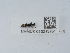  ( - NHMUK015212751)  @11 [ ] Unspecified (default): All Rights Reserved  Unspecified Unspecified