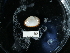  ( - NHMUK015212804)  @11 [ ] Unspecified (default): All Rights Reserved  Unspecified Unspecified