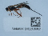  ( - NHMUK015212882)  @11 [ ] Unspecified (default): All Rights Reserved  Unspecified Unspecified
