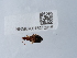  ( - NHMUK015212916)  @11 [ ] Unspecified (default): All Rights Reserved  Unspecified Unspecified