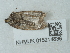  ( - NHMUK015214836)  @11 [ ] Unspecified (default): All Rights Reserved  Unspecified Unspecified