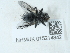  ( - NHMUK015214842)  @11 [ ] Unspecified (default): All Rights Reserved  Unspecified Unspecified