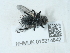  ( - NHMUK015214842)  @11 [ ] Unspecified (default): All Rights Reserved  Unspecified Unspecified
