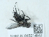  ( - NHMUK015214842)  @11 [ ] Unspecified (default): All Rights Reserved  Unspecified Unspecified
