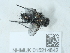  ( - NHMUK015214842)  @11 [ ] Unspecified (default): All Rights Reserved  Unspecified Unspecified