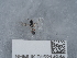  ( - NHMUK015214944)  @11 [ ] Unspecified (default): All Rights Reserved  Unspecified Unspecified