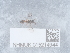  ( - NHMUK015214944)  @11 [ ] Unspecified (default): All Rights Reserved  Unspecified Unspecified