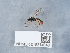  ( - NHMUK015214946)  @11 [ ] Unspecified (default): All Rights Reserved  Unspecified Unspecified