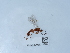  ( - NHMUK015214981)  @11 [ ] Unspecified (default): All Rights Reserved  Unspecified Unspecified