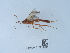  ( - NHMUK015214984)  @11 [ ] Unspecified (default): All Rights Reserved  Unspecified Unspecified