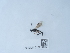  ( - NHMUK015214987)  @11 [ ] Unspecified (default): All Rights Reserved  Unspecified Unspecified