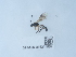  ( - NHMUK015214987)  @11 [ ] Unspecified (default): All Rights Reserved  Unspecified Unspecified