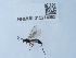  ( - NHMUK015214993)  @11 [ ] Unspecified (default): All Rights Reserved  Unspecified Unspecified