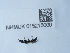  ( - NHMUK015215000)  @11 [ ] Unspecified (default): All Rights Reserved  Unspecified Unspecified