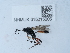  ( - NHMUK015215006)  @11 [ ] Unspecified (default): All Rights Reserved  Unspecified Unspecified