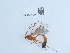  ( - NHMUK015215206)  @11 [ ] Unspecified (default): All Rights Reserved  Unspecified Unspecified