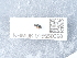  ( - NHMUK015550098)  @11 [ ] Unspecified (default): All Rights Reserved  Unspecified Unspecified