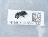  ( - NHMUK015550100)  @11 [ ] Unspecified (default): All Rights Reserved  Unspecified Unspecified