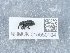  ( - NHMUK015550104)  @11 [ ] Unspecified (default): All Rights Reserved  Unspecified Unspecified