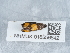  ( - NHMUK015556842)  @11 [ ] Unspecified (default): All Rights Reserved  Unspecified Unspecified