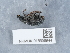  ( - NHMUK015556944)  @11 [ ] Unspecified (default): All Rights Reserved  Unspecified Unspecified