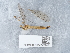  ( - NHMUK015556947)  @11 [ ] Unspecified (default): All Rights Reserved  Unspecified Unspecified