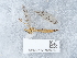  ( - NHMUK015556947)  @11 [ ] Unspecified (default): All Rights Reserved  Unspecified Unspecified
